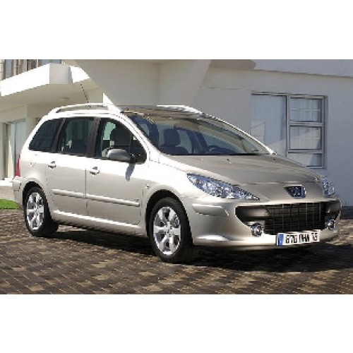PEUGEOT 307 KOM / SW - GEAM LATERAL SPATE DREAPTA  AN:04/02-